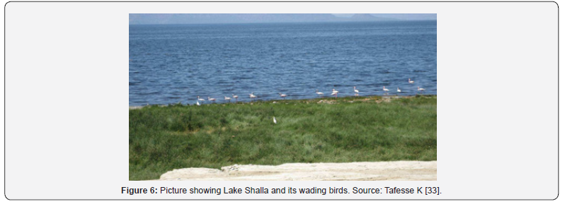 Click here to view Large Figure 6 International Journal of Environmental Sciences & Natural Resources