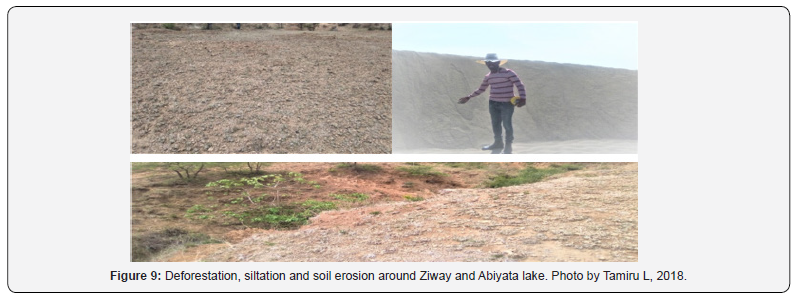 Click here to view Large Figure 9 International Journal of Environmental Sciences & Natural Resources