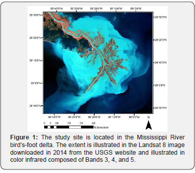 Click here to view Large Figure 1 International Journal of Environmental Sciences & Natural Resources
