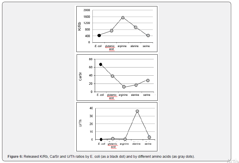 Click here to view Large Figure 6