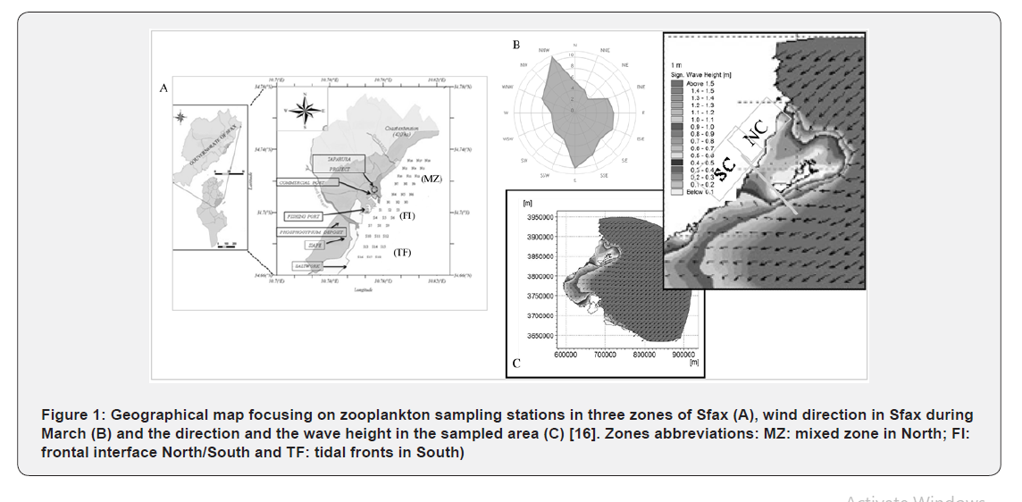 Click here to view Large Figure 1