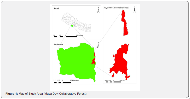 Click here to view Large Figure 1 International Journal of Environmental Sciences & Natural Resources