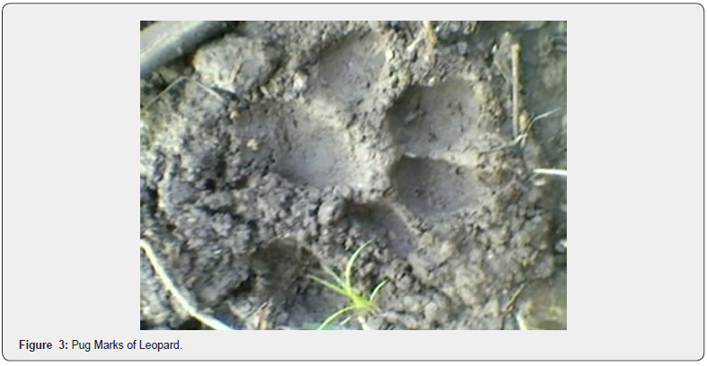 Click here to view Large Figure 3