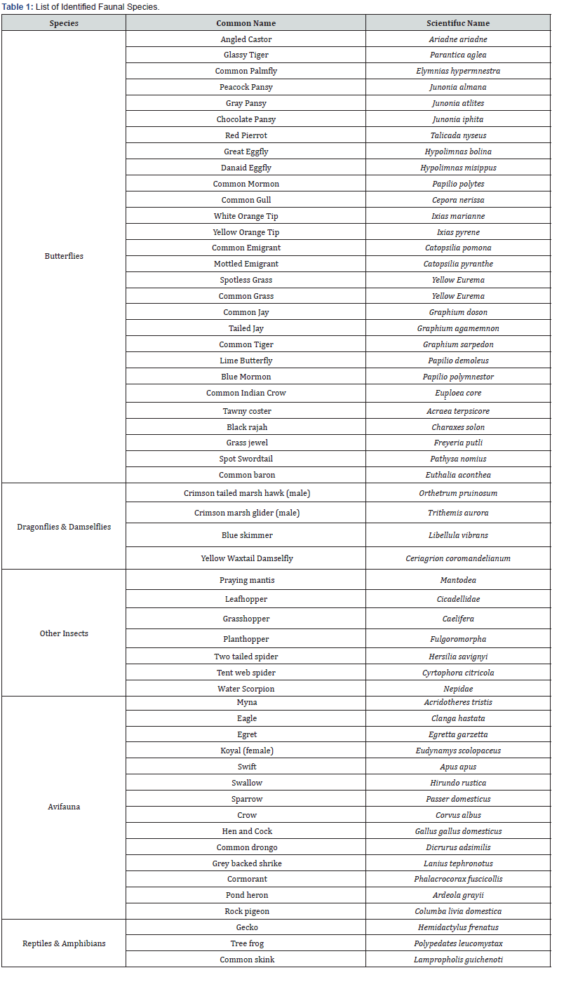 Click here to view Large Table 1