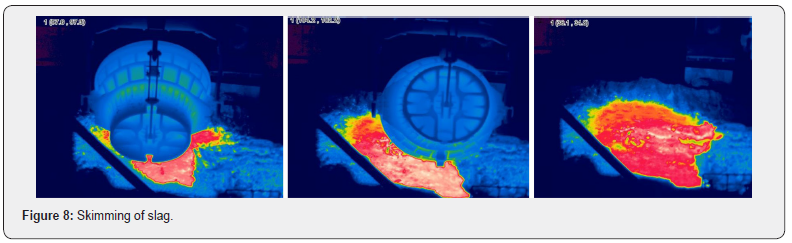 Click here to view Large Figure 8