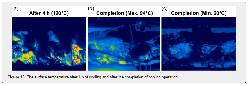 Click here to view Large Figure 10