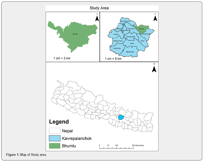 Click here to view Large Figure 1