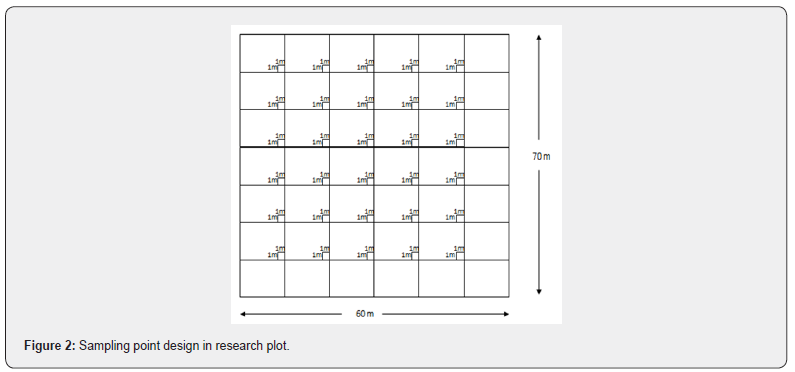 Click here to view Large Figure 2