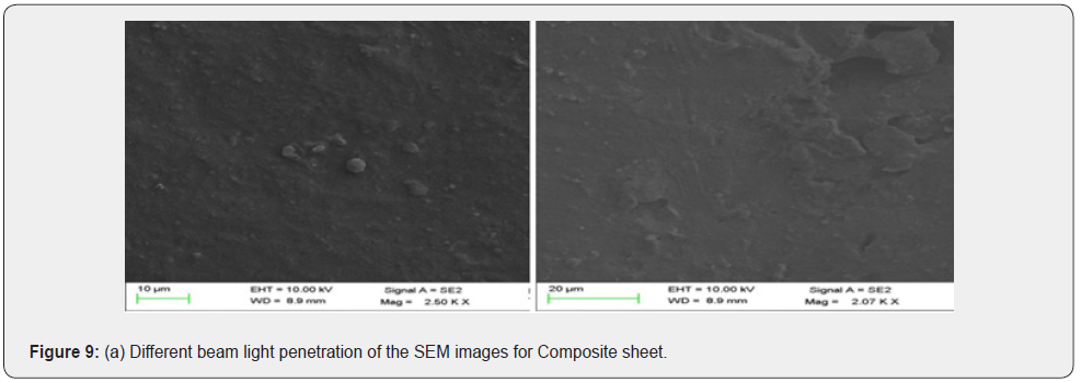 Click here to view Large Figure 9