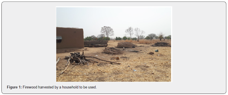 Click here to view Large Figure 1