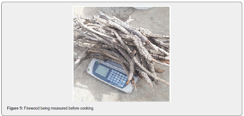 Click here to view Large Figure 9