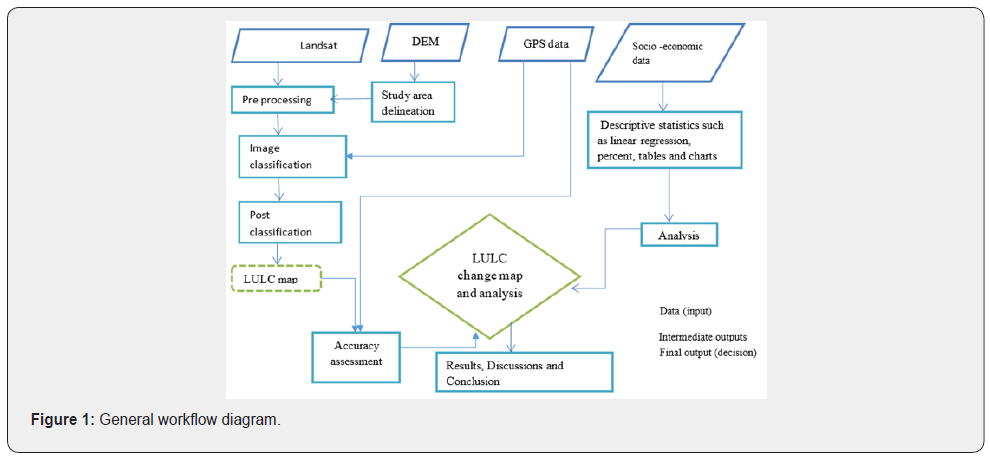 Click here to view Large Figure 1