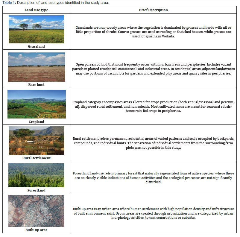 Click here to view Large Table 1