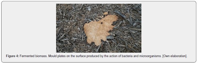 Click here to view Large Figure 4