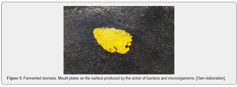 Click here to view Large Figure 5