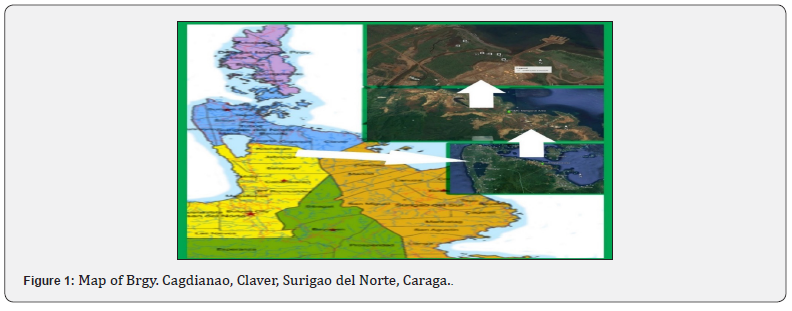 Click here to view Large Figure 1