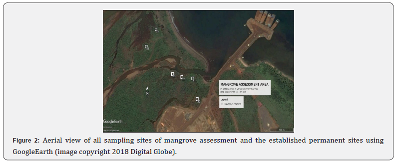 Click here to view Large Figure 2