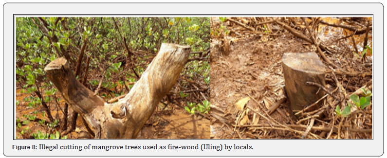 Click here to view Large Figure 8