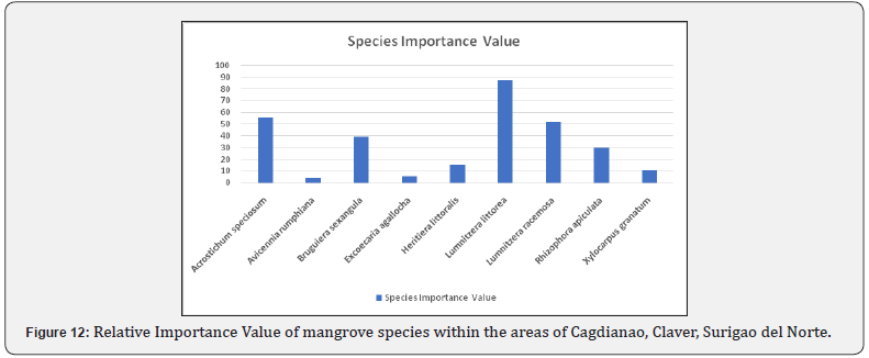 Click here to view Large Figure 12