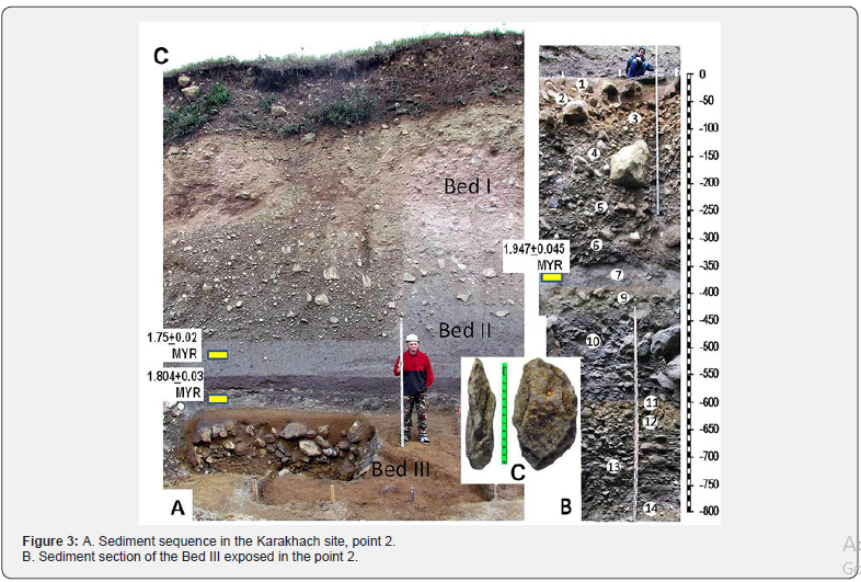 Click here to view Large Figure 3