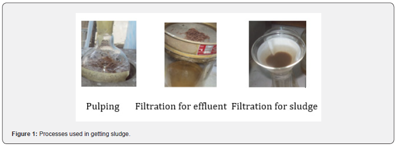 Click here to view Large Figure 1