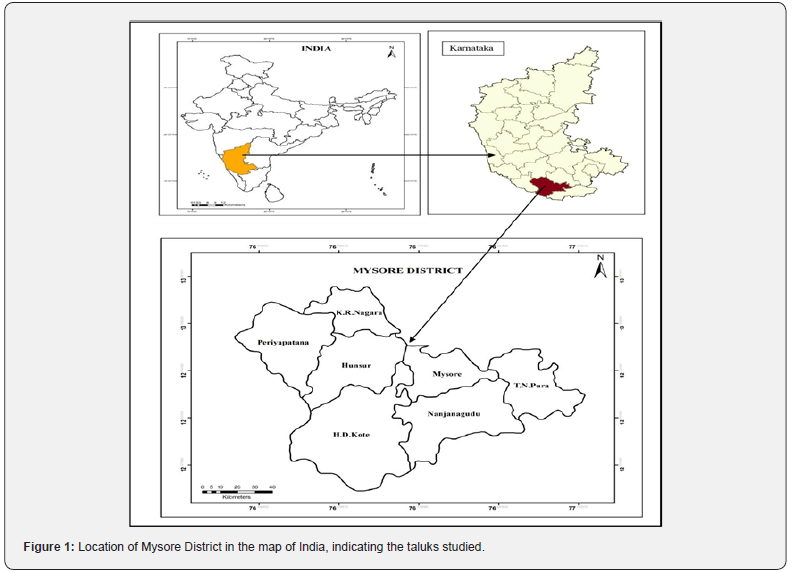 Click here to view Large Figure 1