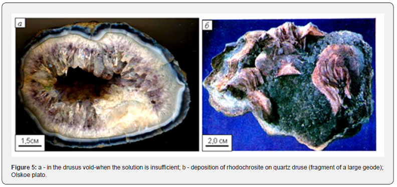 Click here to view Large Figure 5