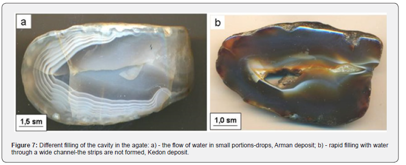 Click here to view Large Figure 7