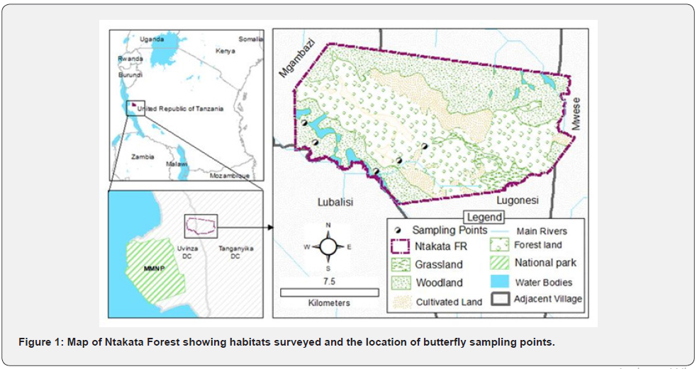 Click here to view Large Figure 1