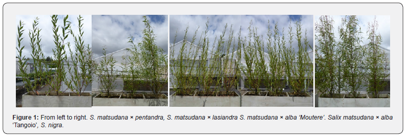 Click here to view Large Figure 1