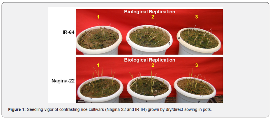 Click here to view Large Figure