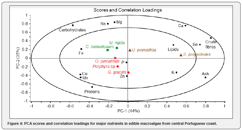 Click here to view Large Figure