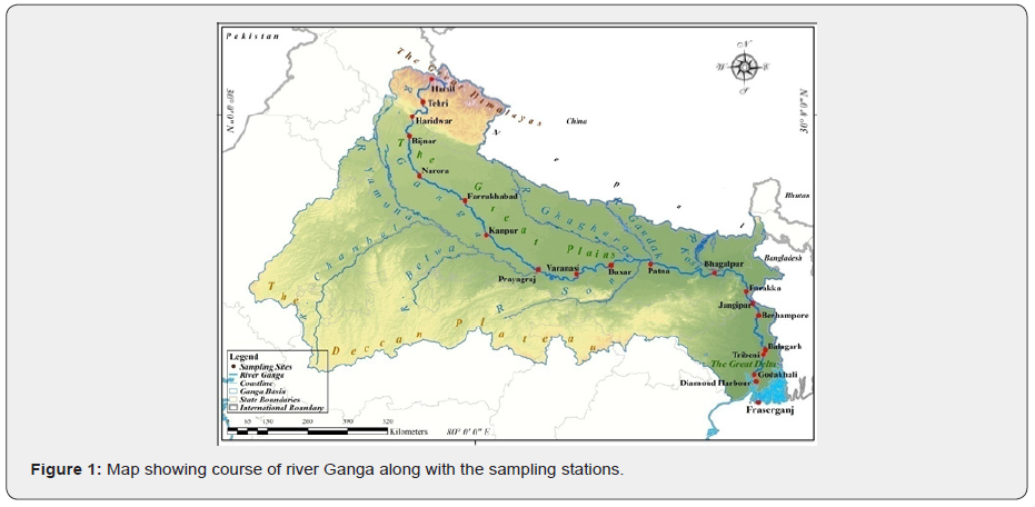 Click here to view Large Figure