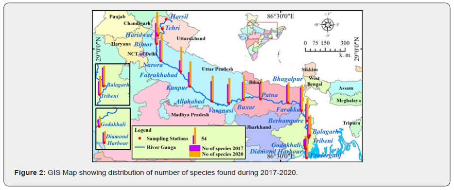 Click here to view Large Figure