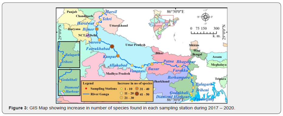 Click here to view Large Figure