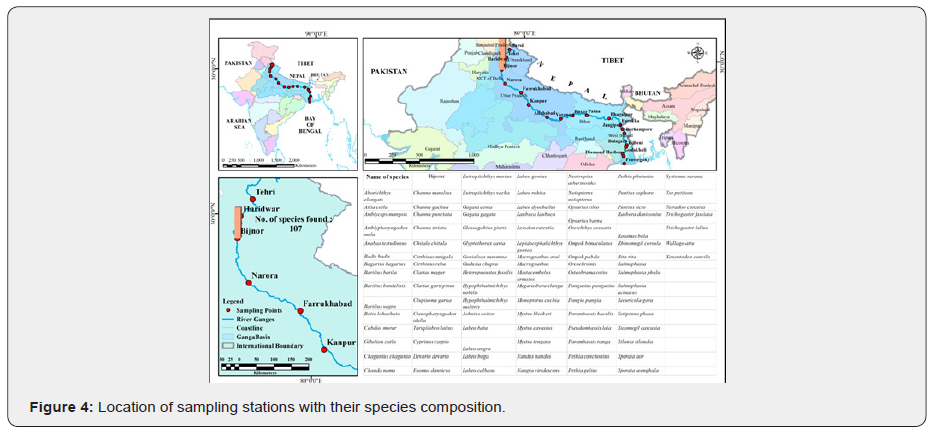 Click here to view Large Figure