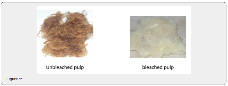 Click here to view Large Figure