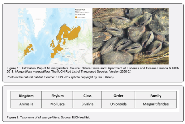 Click here to view Large Figure 1