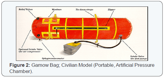 Click here to view Large Figure 2