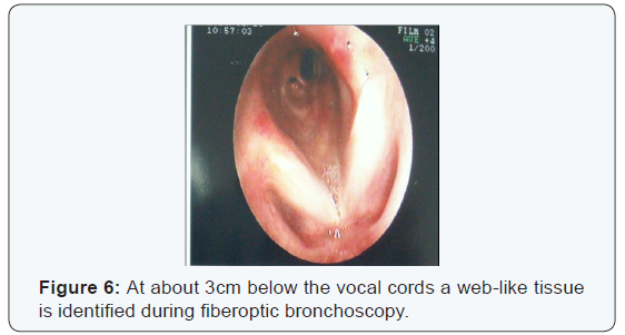 Click here to view Large Figure 6