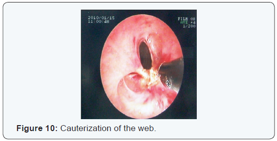 Click here to view Large Figure 10