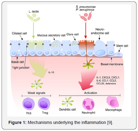 Click here to view Large Figure 1