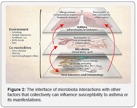 Click here to view Large Figure 2