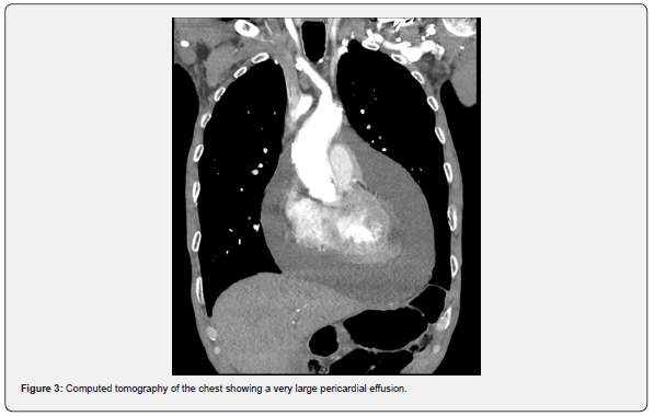 Click here to view Large Figure 3