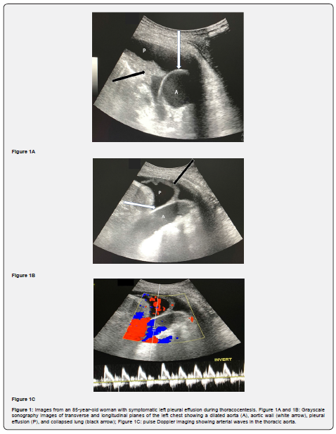 Click here to view Large Figure 1