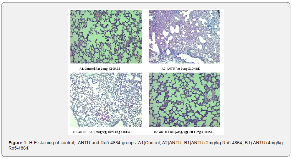 Click here to view Large Figure