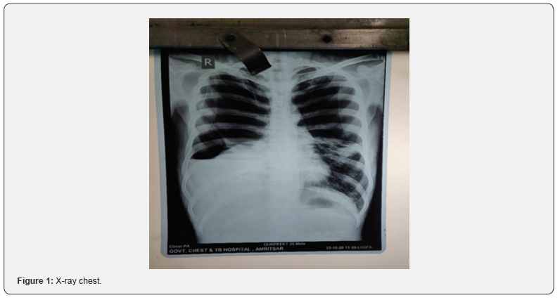 Click here to view Large Figure