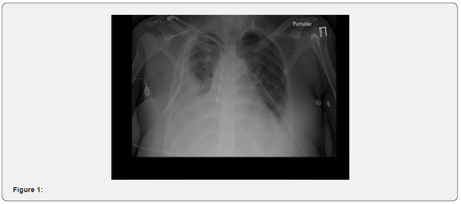 Click here to view Large Figure