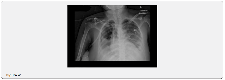 Click here to view Large Figure