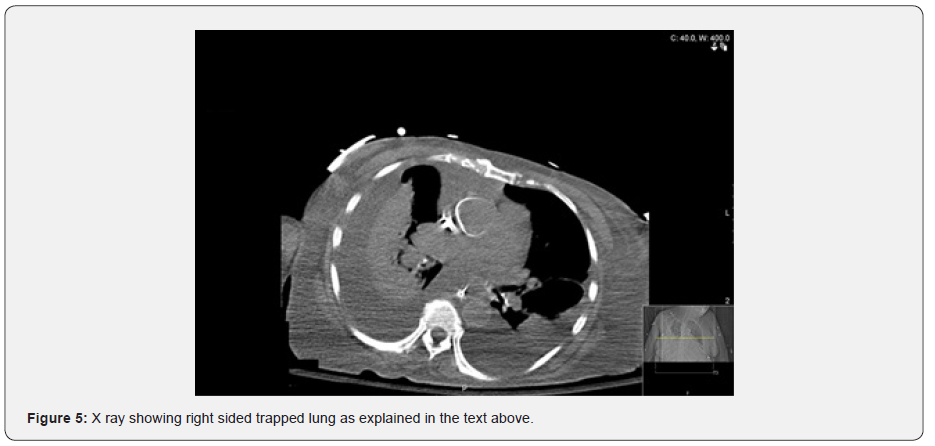 Click here to view Large Figure
